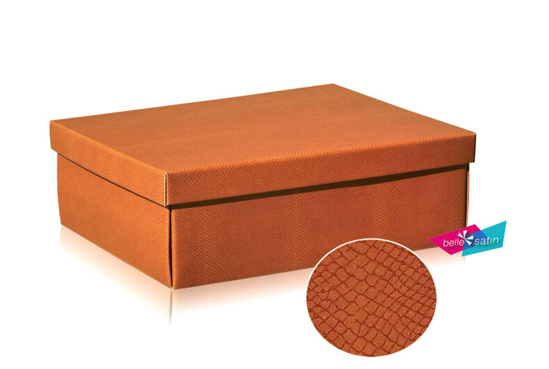 4011_skin_desert_krabicka_s_vickem